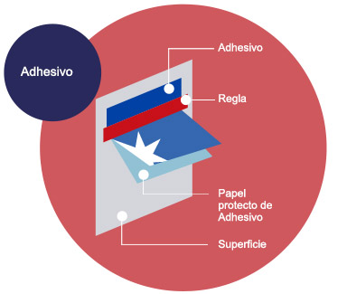Paso 4